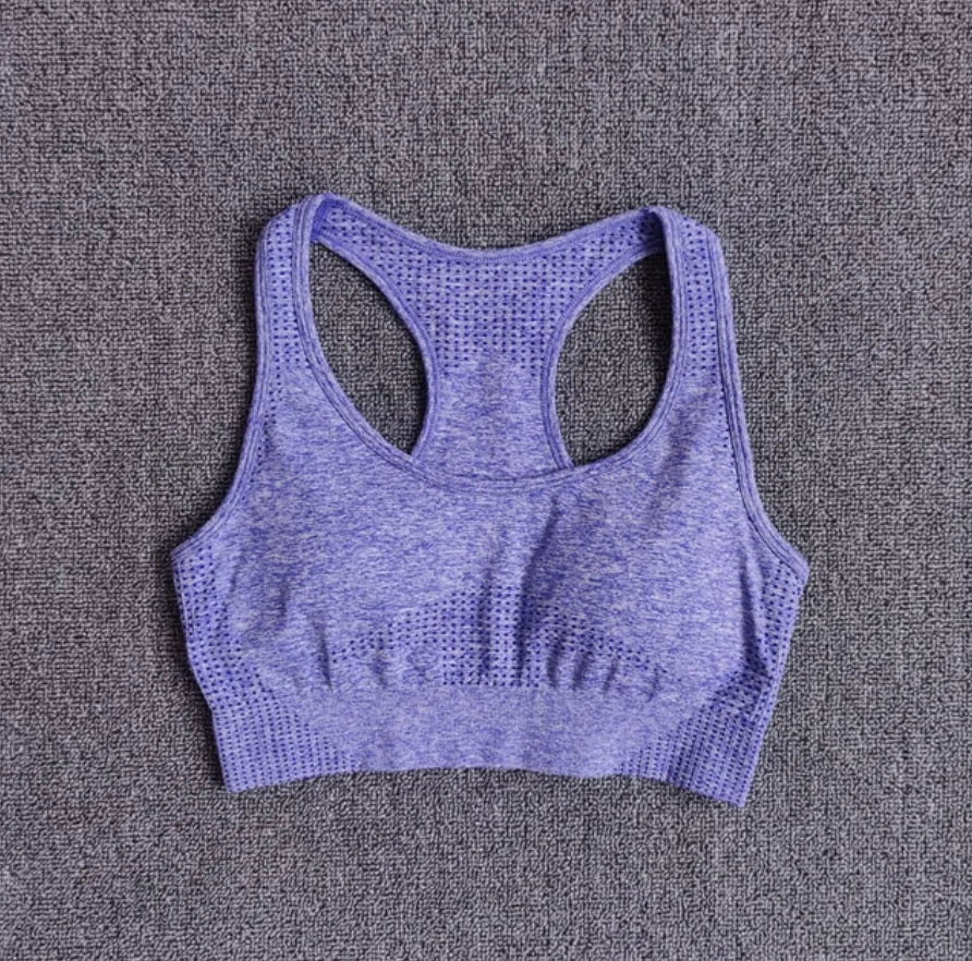 Lilac Climb Sports Bra